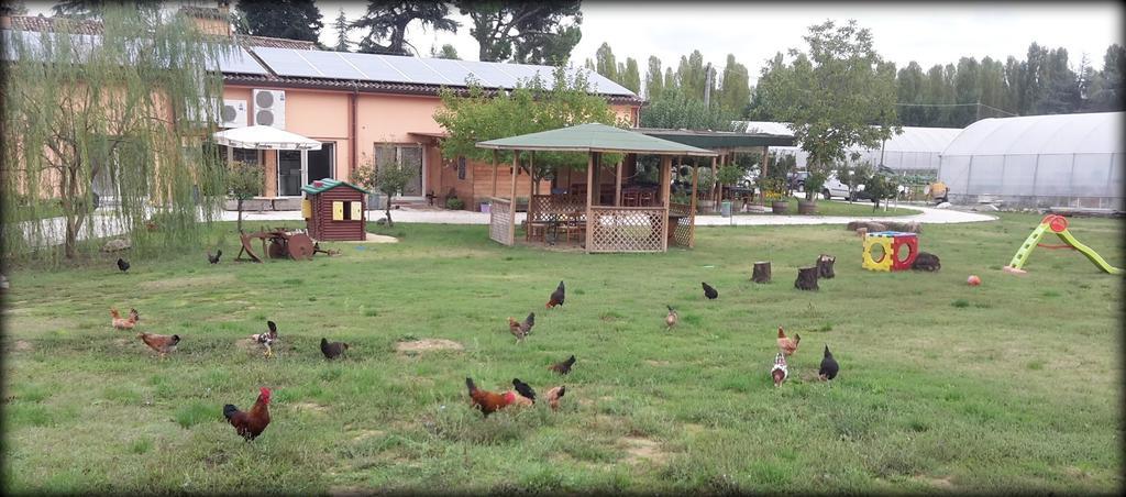 Agriturismo Perugini Cesena Exterior foto
